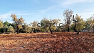 Terreno em Faro · 8250 m² · 460 000 €