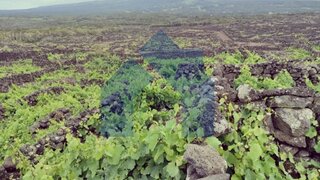 Land for sale in Madalena, Portugal — €550,000