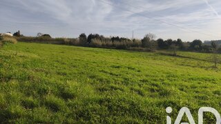 Land for sale in Alcobaça, Portugal — €130,000