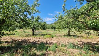 Land for sale in Mafra, Portugal — €69,500