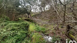 Land for sale in Pedrógão Grande, Portugal — €14,900