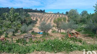 Land for sale in Mogadouro, Portugal — €250,000