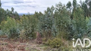 Land for sale in Pedrógão Grande, Portugal — €25,000