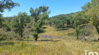 Land for sale in Constância, Portugal — €480,000