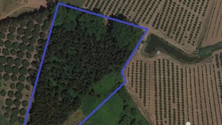 Land for sale in Cadaval, Portugal — €55,000