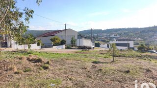 Land for sale in Anadia, Portugal — €35,000