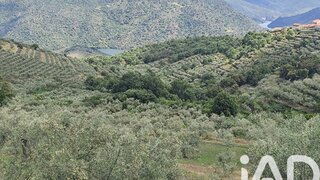 Land for sale in Freixo de Espada à Cinta, Portugal — €45,000