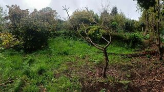 Land for sale in Machico, Portugal — €120,000