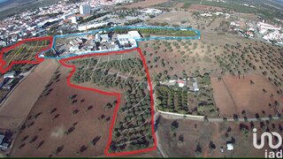 Land for sale in Moura, Portugal — €1,600,000