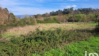 Terreno em Constância