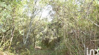 Land for sale in Ferreira do Zêzere, Portugal — €11,250