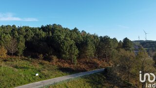 Terreno · 9040 m² · 19 500 €