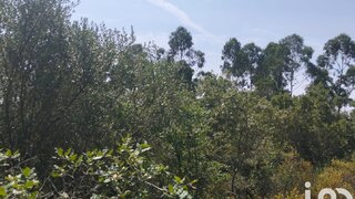 Land for sale in Ferreira do Zêzere, Portugal — €5,500
