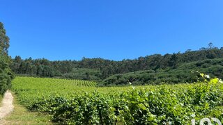 Land for sale in Lousada, Portugal — €295,000