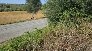 Land for sale in Vidigueira, Portugal — €15,000