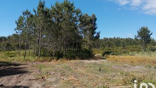 Land for sale in Caldas da Rainha, Portugal — €97,000
