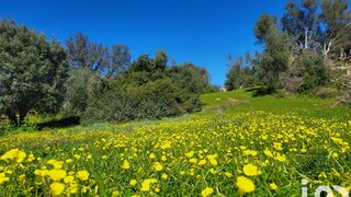 Land for sale in São Brás de Alportel, Portugal — €239,000