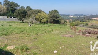 Land for sale in Alcobaça, Portugal — €85,000