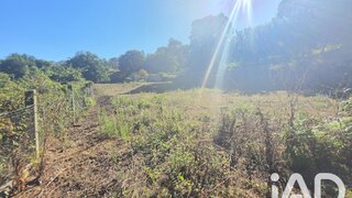Land for sale in Vila Nova de Cerveira, Portugal — €175,000
