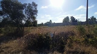 Land for sale in Coruche, Portugal — €23,500