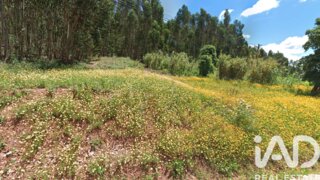 Land for sale in Rio Maior, Portugal — €50,000
