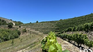 Land for sale in Vila Nova de Foz Côa, Portugal — €125,000