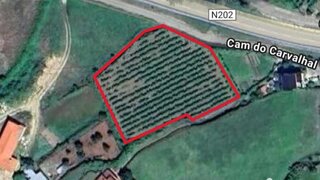 Land for sale in Melgaço, Portugal — €180,000
