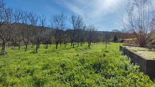 Terreno · 7026 m² · 19 900 €