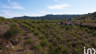 Land for sale in Miranda do Corvo, Portugal — €120,000