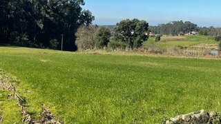 Land for sale in Oliveira de Azeméis, Portugal — €45,000