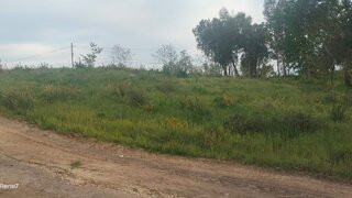 Land for sale in Marco de Canaveses, Portugal — €60,000
