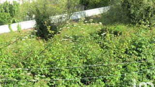 Land for sale in Mafra, Portugal — €330,000
