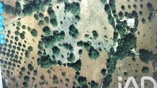 Land for sale in São Brás de Alportel, Portugal — €35,000