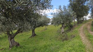 Land for sale in Penamacor, Portugal — €5,000