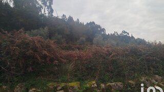Land for sale in Penacova, Portugal — €30,000