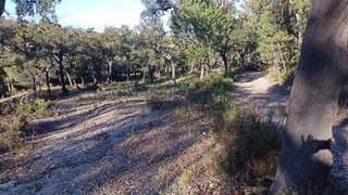 Land for sale in Ponte de Sor, Portugal — €39,000