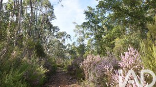 Land for sale in Tomar, Portugal — €8,500