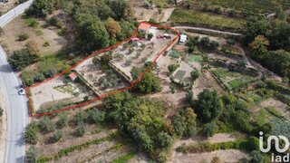 Terreno em Penalva do Castelo