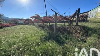 Land for sale in Ponte de Lima, Portugal — €114,000