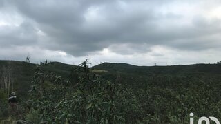 Land for sale in Monchique, Portugal — €80,000