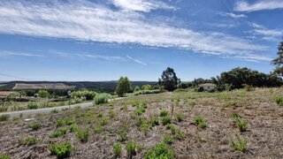 Terreno em Rio Maior