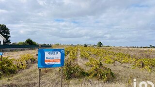 Land for sale in Alpiarça, Portugal — €65,000