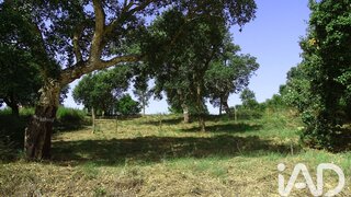 Terreno para venda em Óbidos, Portugal — 60 000 €