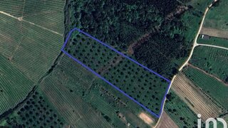 Land for sale in Cadaval, Portugal — €75,000