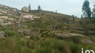 Terreno em Oliveira do Hospital