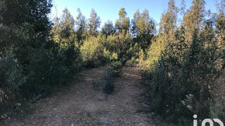 Land for sale in Monchique, Portugal — €170,000