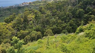 Land for sale in Santa Cruz, Portugal — €140,000