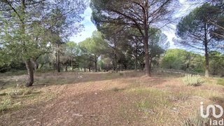 Land for sale in Ponte de Sor, Portugal — €20,000