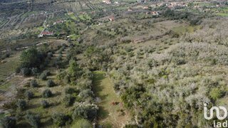 Land for sale in Ferreira do Zêzere, Portugal — €6,950