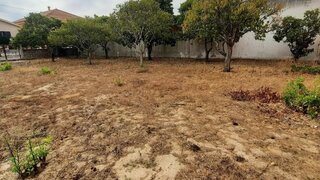 Terreno em Salvaterra de Magos